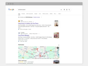 Capture d'écran pour la recherche "achat one piece": la fnac et Leclerc arrivent premiers devant les petites entreprises locales