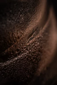 Texture des gouttes de condensation sur un Hario V60 (machine à café filtre)