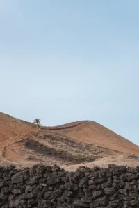 Paysage volcanique à Lanzarote aux îles Canaries