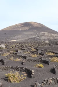 Vignoble sur le sol volcanique de Lanzarote aux îles Canaries