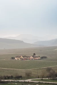 Vignoble alsacien près du Mandelberg