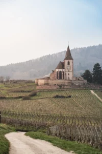 Vignoble alsacien près du Mandelberg