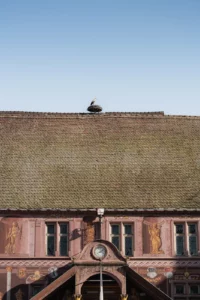 Photo de l'hôtel de ville de Mulhouse avec une cigogne sur le toit