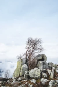 Photo de paysage au Steinberg près du Petit Ballon dans le Haut-Rhin en Alsace