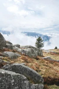 Photo de paysage au Steinberg près du Petit Ballon dans le Haut-Rhin en Alsace